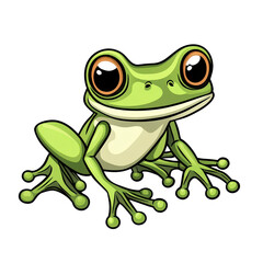 Cute green frog with big eyes, isolated on white background.