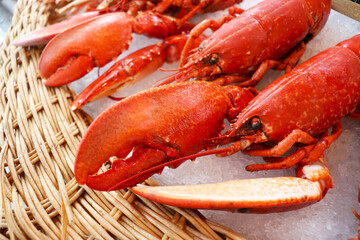 lobster isolated on white background