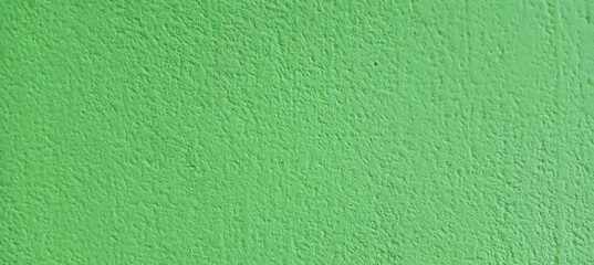 Abstract Green Grungy Cement Texture with Empty Space for Background