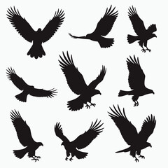 Fototapeta premium A collection of eight silhouetted birds of prey, each showcasing different poses in flight against a white background.
