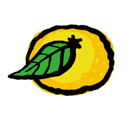 Mandarin or yuzu fruit hand drawn traditional asian style. Vector bold rough line color doodle illustration.