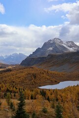 Obraz premium autumn in the mountains