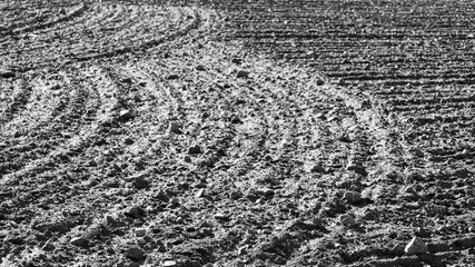 Vlack and white fields