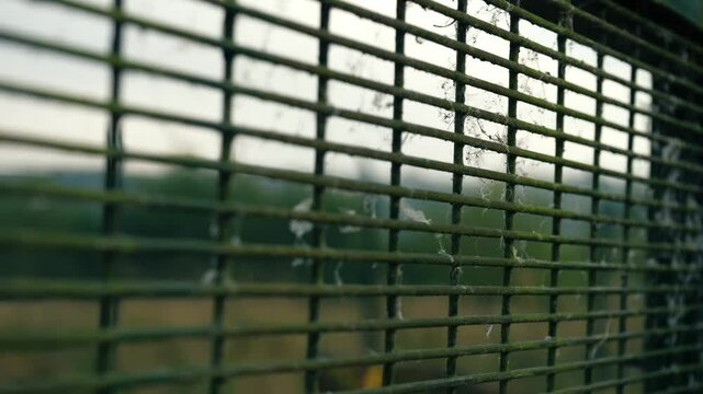 Fence security gate protects property