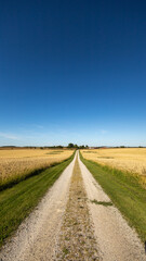 Country roads Sweden 