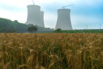 Cooling towers of nuclear power plant rising behind field of ripe wheat. industrial infrastructure...