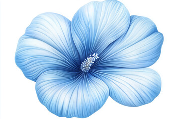 Fototapeta premium blue chrysanthemum flower