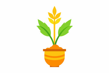 Fototapeta premium Turmeric Plant Tied around the Pongal pot as a symbol of prosperity