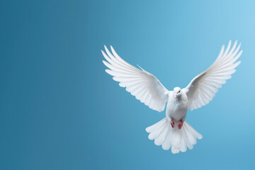 Obraz premium Kids wearing streetwear animal motion bird.