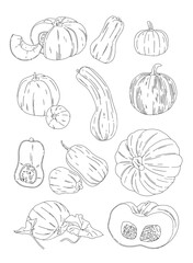 linear vector set of drawn pumpkins of different shapes