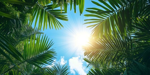 Fototapeta premium A lush green forest with a bright blue sky and sun shining through the leaves. Concept of peace and tranquility, as well as the beauty of nature