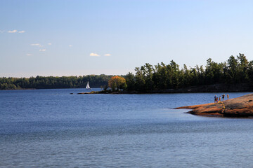 Obraz premium Landscape with lake and forest