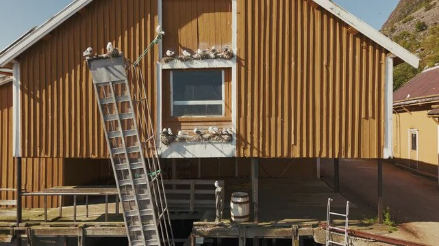 Tind Lofoten islands Norway Aerial drone view