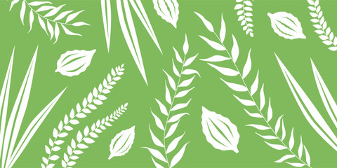 Beautiful floral background for Sukkot, Feast of Tabernacles and of Harvest. Jewish Holiday Banner in Green and White colors with arba minim, four species: etrog and palm, myrtle and willow branches.