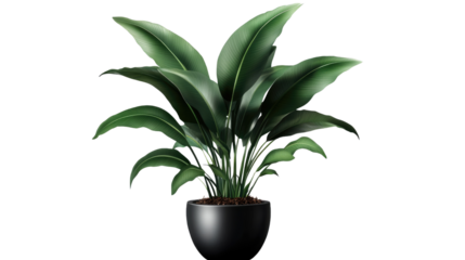 Brown earthen flower pot with green plant isolated on PNG file with transparent background