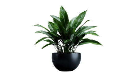 Brown earthen flower pot with green plant isolated on white background. PNG file with transparent background