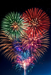 Fototapeta premium Colored fireworks against night sky