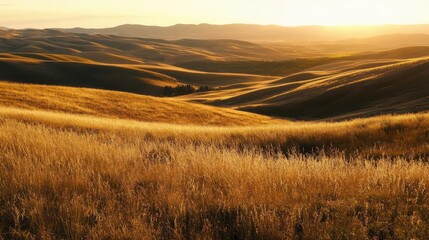Fototapeta premium A serene landscape at sunset, showcasing rolling hills and golden grass.