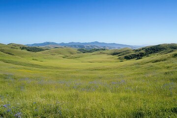 Fototapeta premium A serene landscape of rolling green hills under a clear blue sky, showcasing nature's beauty.