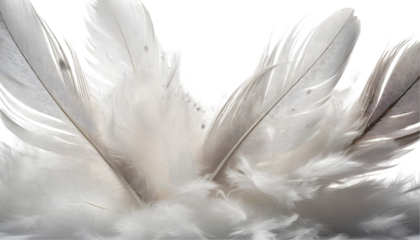 white feathers Splash. Generative AI.
