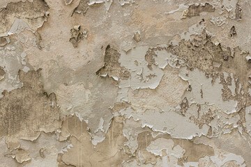 Detailed close-up of cracked, peeling white paint on a rough textured wall, exposing the underlying brown surface. The texture highlights decay and aging.