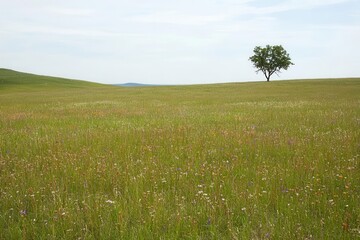 A solitary tree stands in a vibrant, flower-filled grassy landscape under a cloudy sky.
