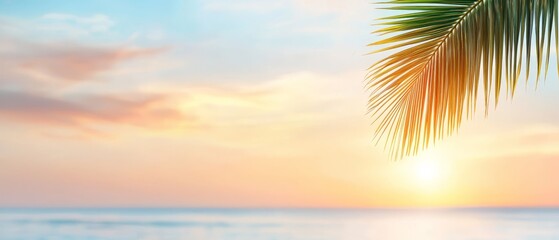  The sun sets over the ocean, with a palm tree in the foreground and the vast expanse of water in the background