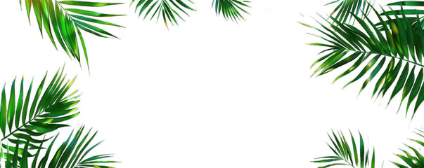 Green tropical palm leaves frame the top and sides of the image, creating a natural border