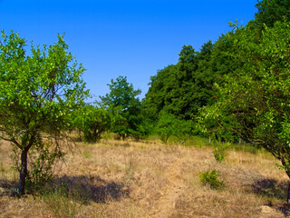 Fototapeta premium Urlaub in der schönen Natur der Uckermark