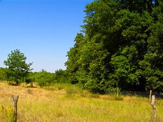 Urlaub in der schönen Natur der Uckermark