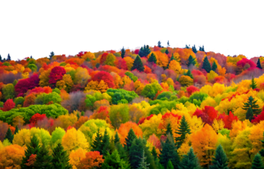 vibrant autumn forest with colorful foliage PNG.AI GENERATED