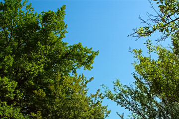 Urlaub in der schönen Natur der Uckermark