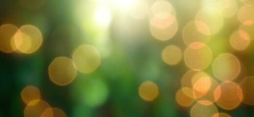 Obraz premium Nature background, blur green garden nature background