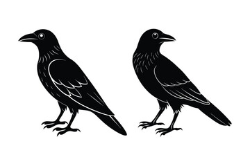 silhouette of a crow