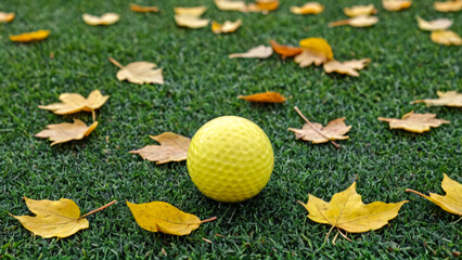 Naklejka premium Yellow hite golf ball on picturesque green golf course next to autumn leaves. Pitch is perfectly prepared, grass is neatly trimmed. Reflection of sun rays on surface of ball and texture of grass.