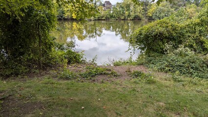 stream in the forest