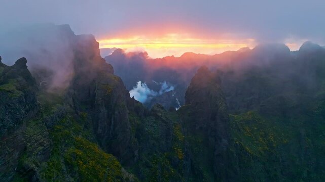 Mountains on sunset covered in fog and clouds with blooming Cytisus shrubs. Near Pico de Arieiro , Madeira island, Portugal. Push in approach dolly move