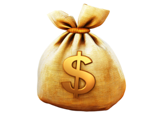 a gold money bag with a dollar sign