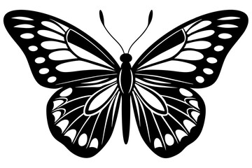 butterfly isolated on white silhouette vector illustration on white background