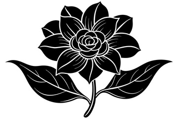 black and white flower isolated