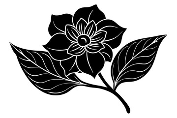black and white flower isolated