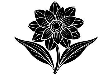 black and white flower isolated