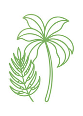 Tropical palm leaf illustration stock illustration