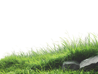 a grass and rocks on a white background