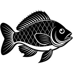 illustration of a fish