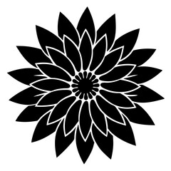 black and white flower isolated