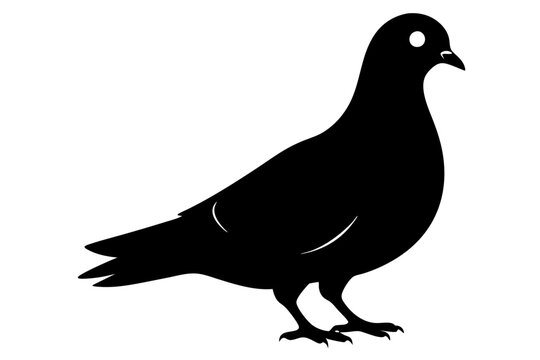 recommend clip art: Doves pigeons standing | vector silhouette illustration on white background