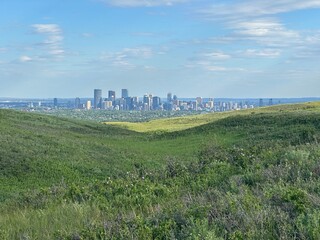 Calgary City Skyline from a field