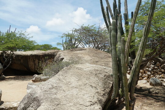 Ayo and Casibari rock formations in Aruba are clusters of volcanic rocks dotted with cacti, situated near Oranjestad.