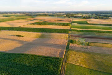 Fototapeta premium Aerial view of vast agricultural fields with a patchwork of green and gold hues under a clear sky, showcasing the beauty of rural landscapes.